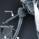 Illustration for article titled New chemical compound could make humans invisible to mosquitoes